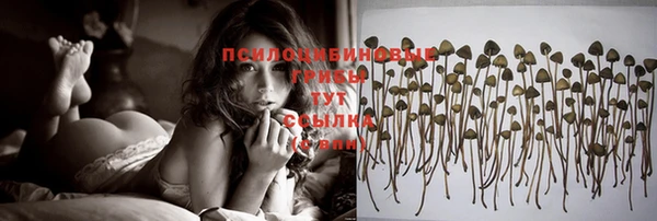 стафф Сосновоборск